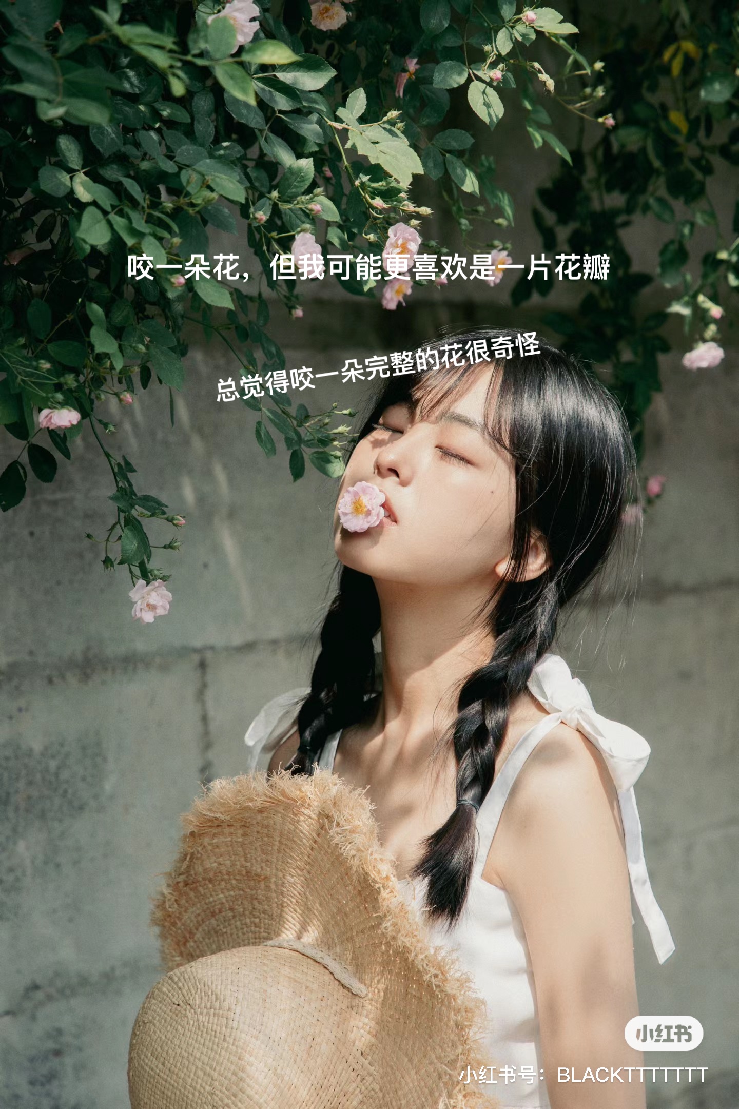 image-20240419075111894